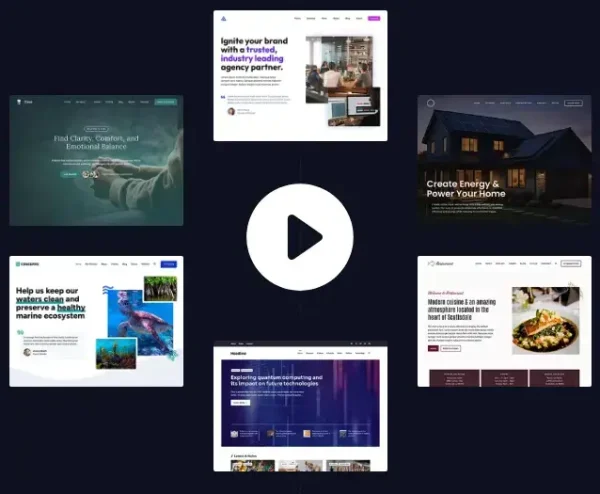 WordPress Theme Comparison